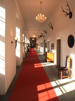 The castle's hallways