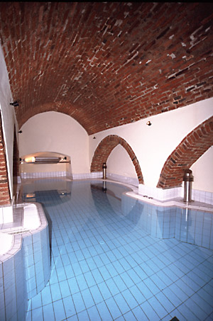 The indoor pool in the spa area