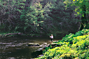 Fishing on the Dart