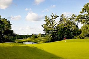 The Aylesford course
