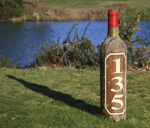 Bordeaux wine bottle