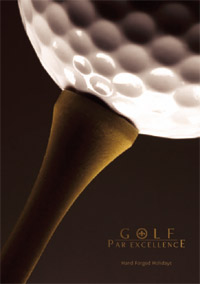 Our 2008 brochure