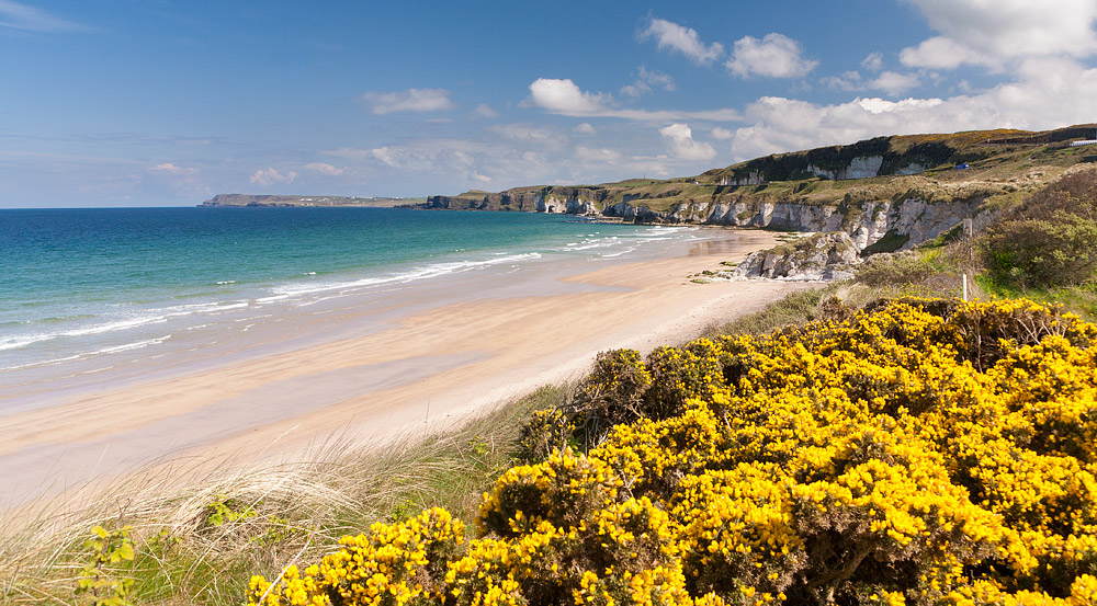 Portrush coastline