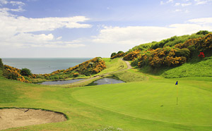 Wicklow GC