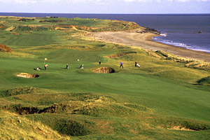 The European
