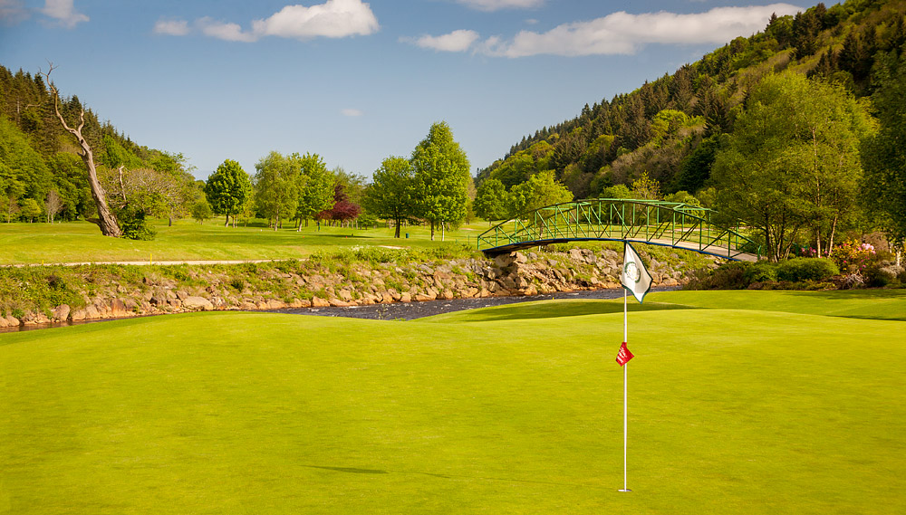 Woodenbridge golf course