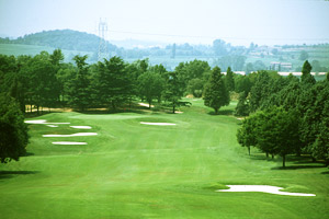 Verona G.C.