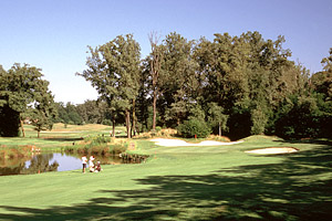 Bogogno Del Conte golf course