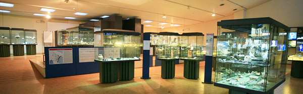 Metaponto archaeology museum