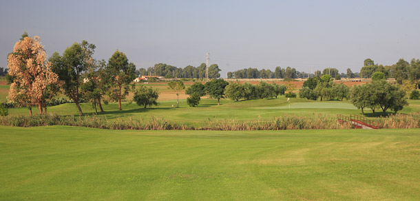 Metaponto golf course