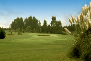 Eucalyptus golf course