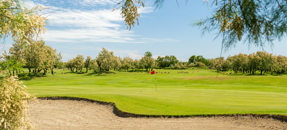 Albarella golf course