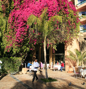 Breakfast - Es Saadi patio