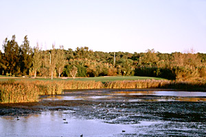 Vilamoura Laguna