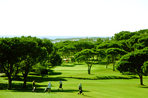 Vilamoura Pinhal