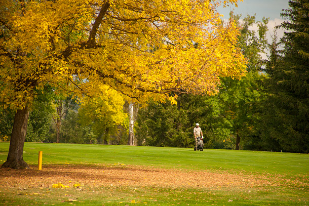 Real Cerdana Golf Club - Autumn