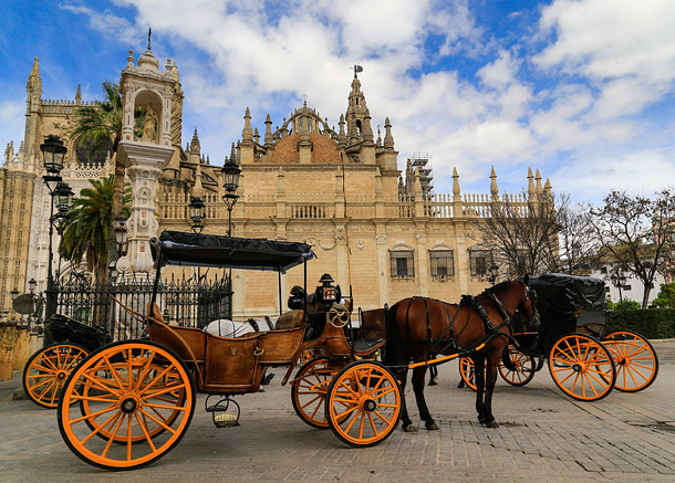 Seville horse and carts