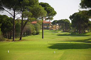 The Montgomerie course