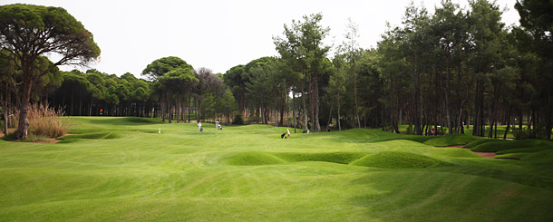 Sueno Pines golf course