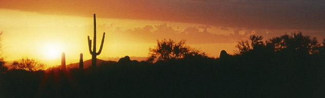 Night falls in the Sonoran Desert