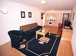 The living room