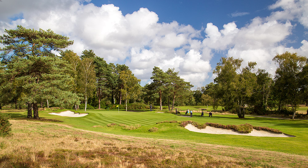 Ferndown golf course