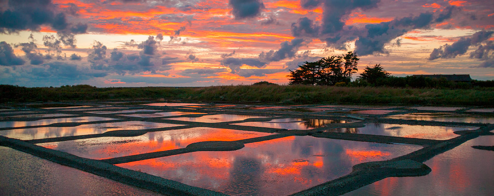 Salt Marshes Guerande