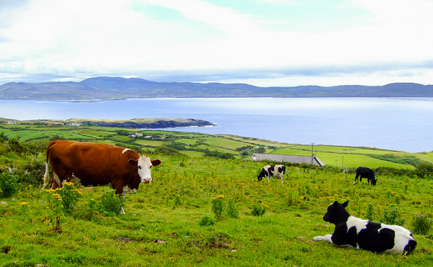 West Cork coast