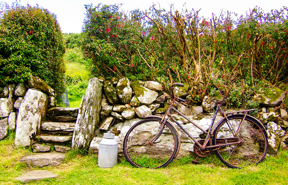 Cork landscape