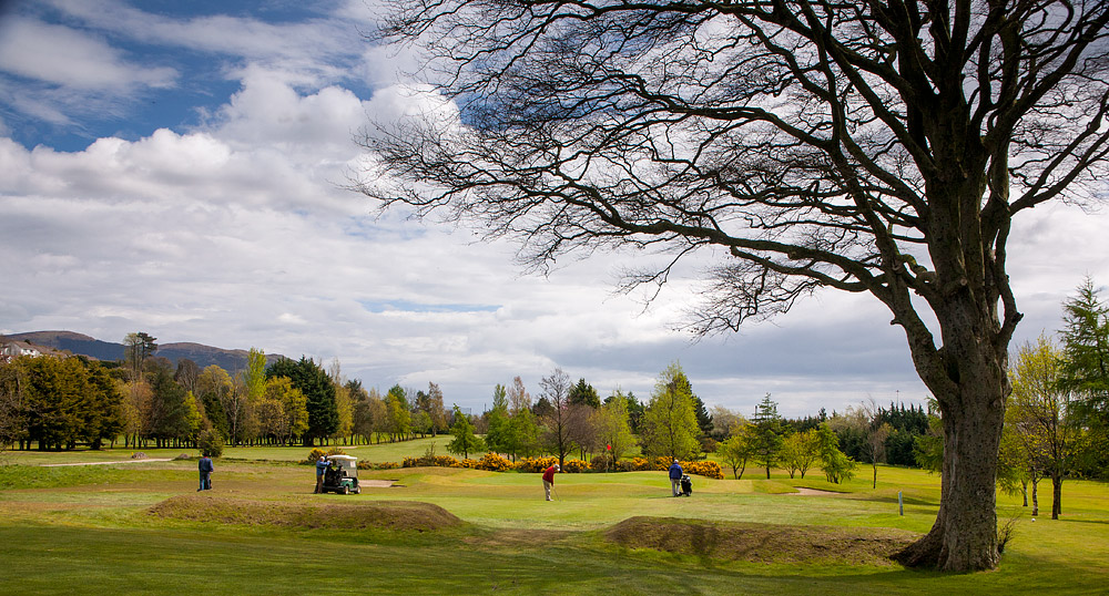 Warrenpoint golf course
