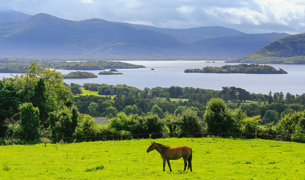 Lough Leane - Killarney