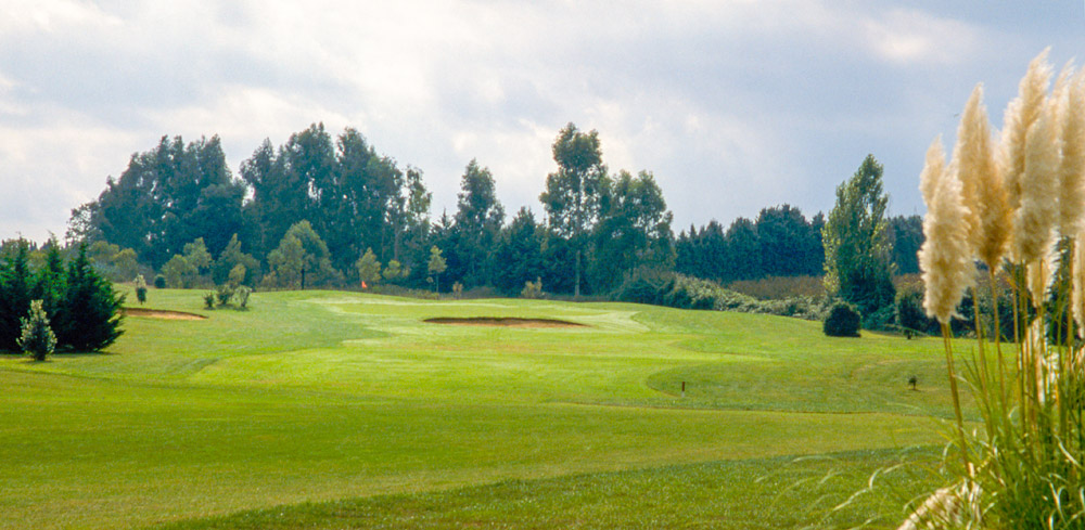 Eucalyptus golf course