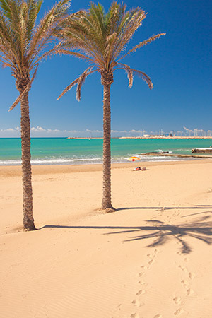 Marina di Ragusa - close to Donnafugata