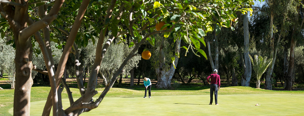 Royal Marrakech golf course