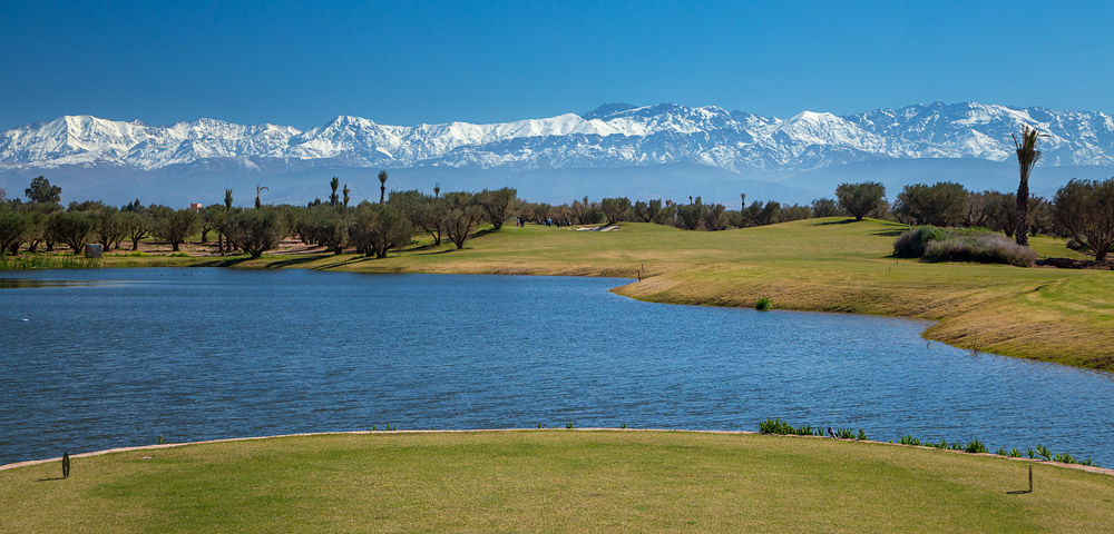 Royal Palm Golf Club