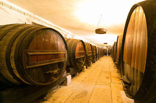 Wine cellars