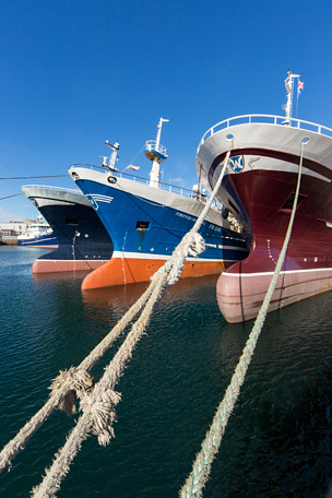 Peterhead trawlers