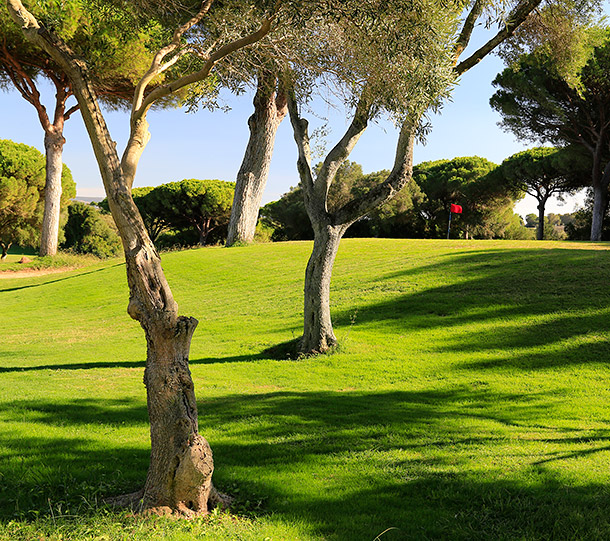 Montenmedio Golf Club