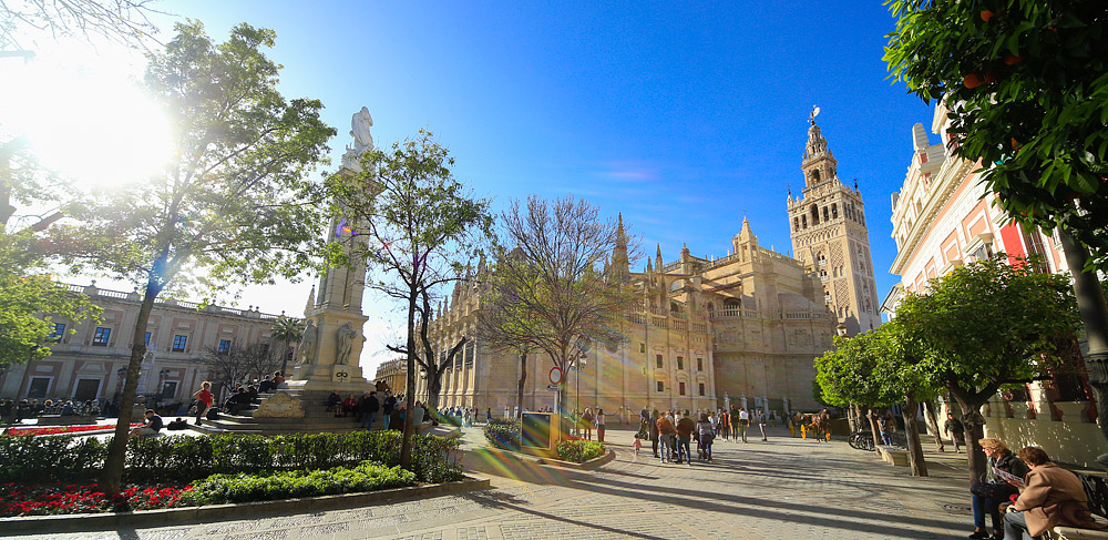 Seville cathedral